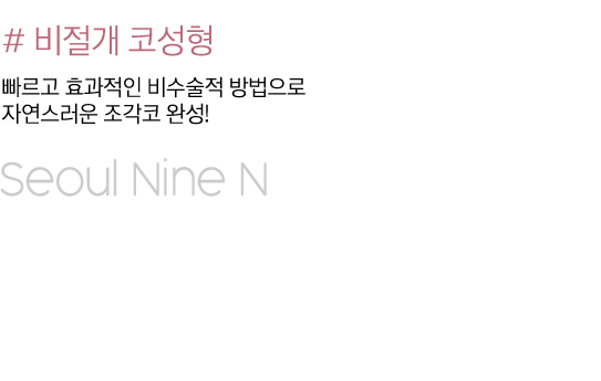 비절개 코성형