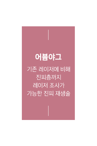 어븀야그