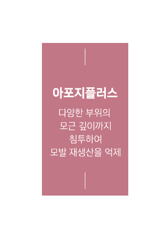 아포지플러스