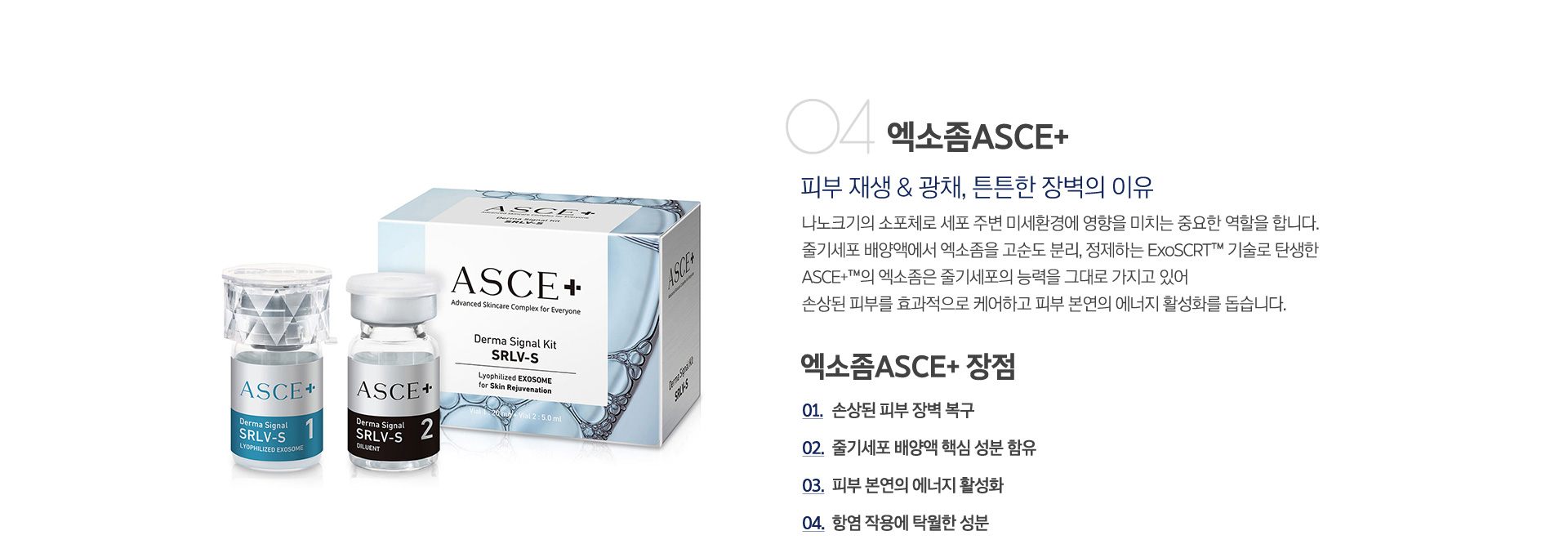 엑소좀ASCE+